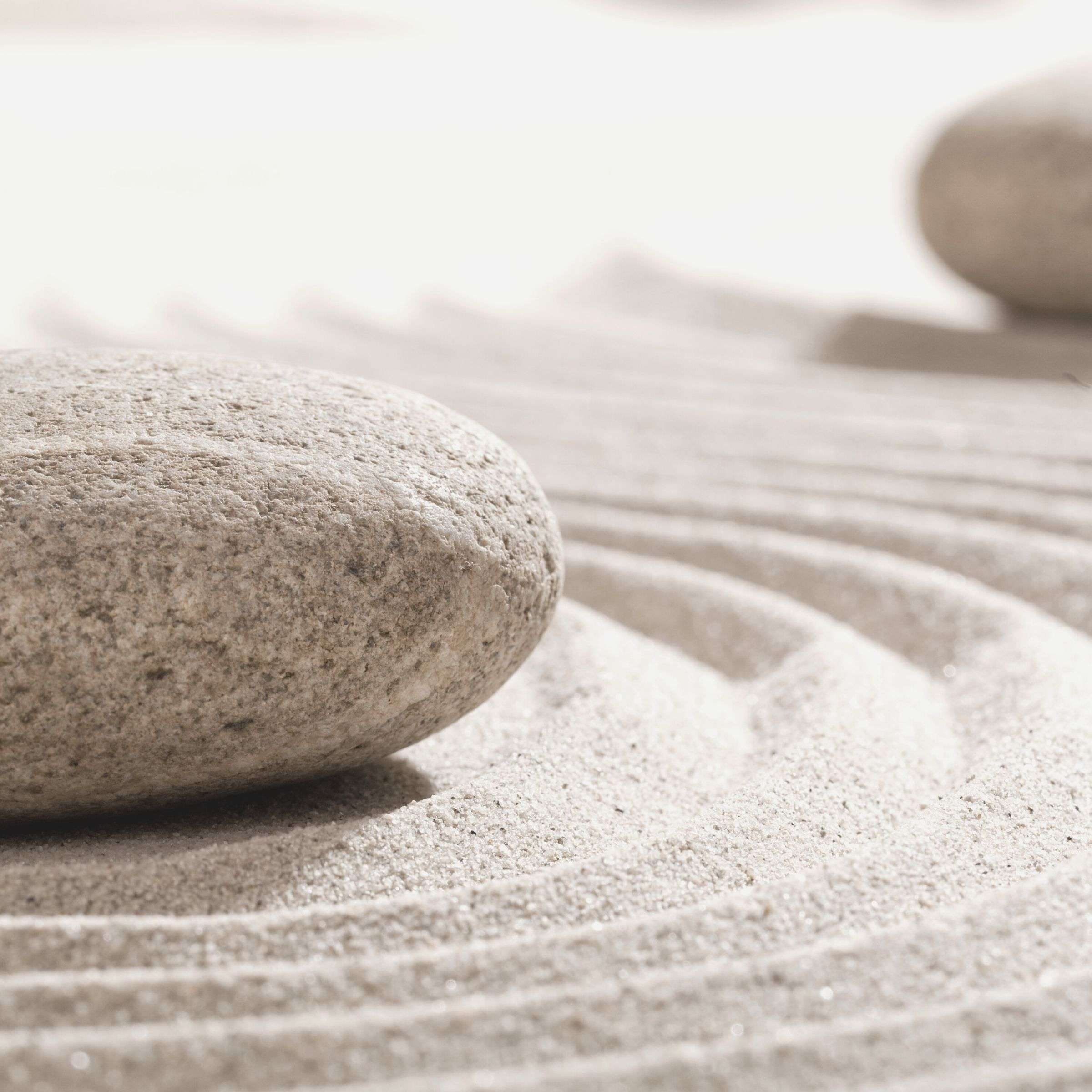 Cultivating a Healthy Mindset