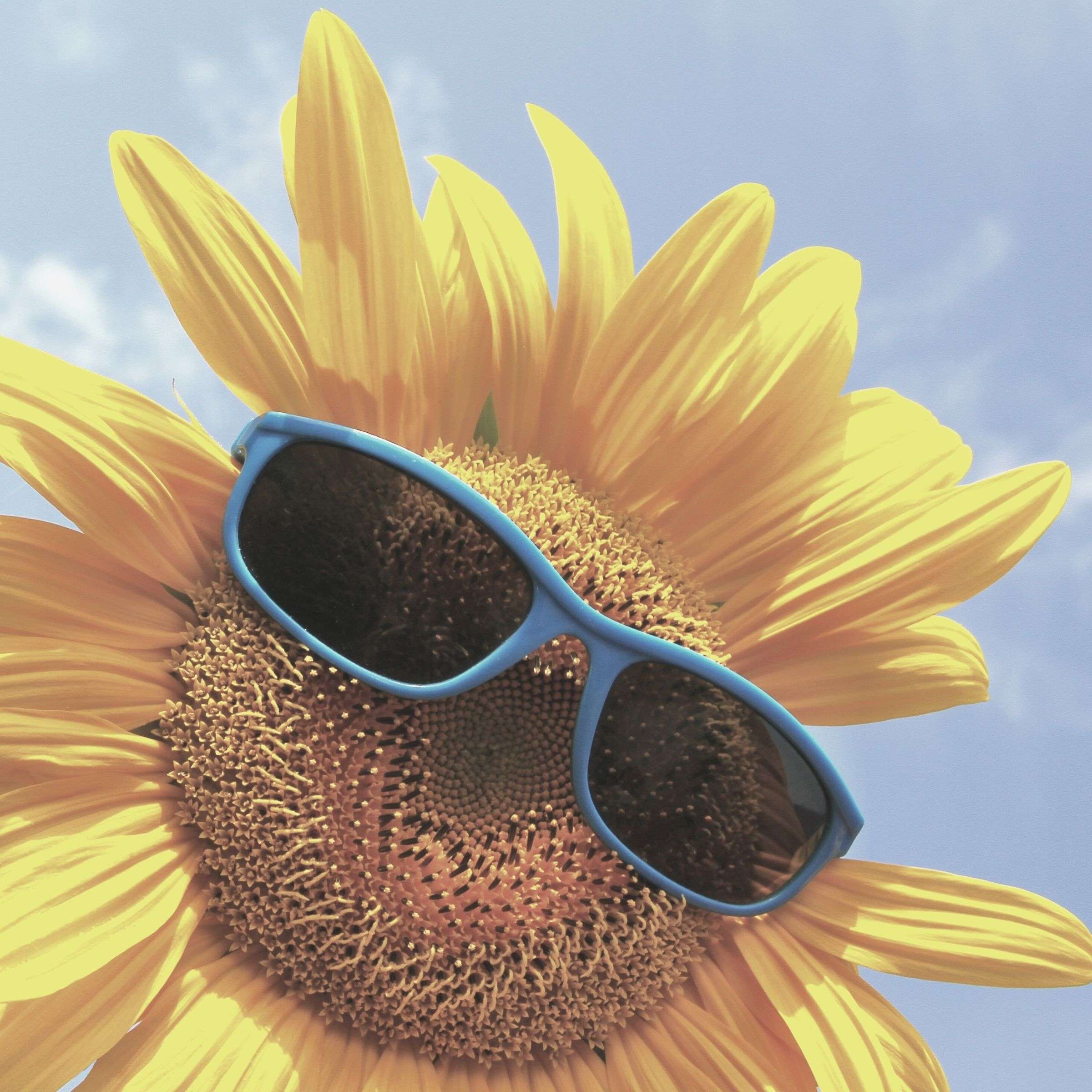 Savvy Strategies for Your Extraordinary Life with Raj Anderson, PCC