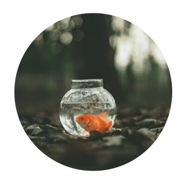 Person stepping outside their comfort zone to pursue personal growth