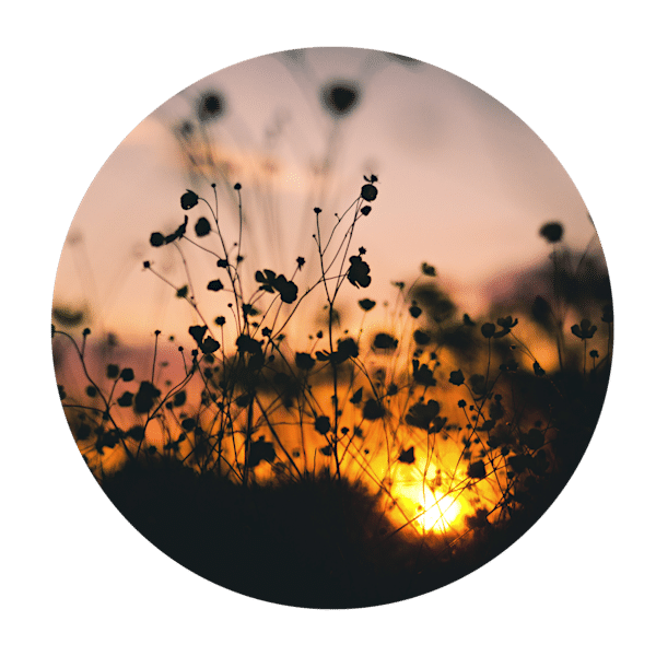 Late at Night - a reflection on evening gratitude