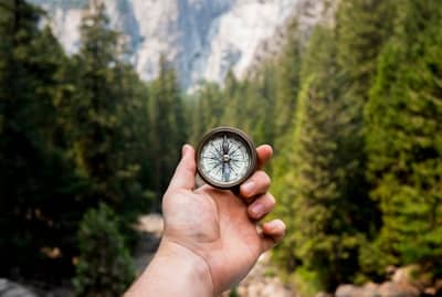 a hand holding a compass in front of a tree backdrop