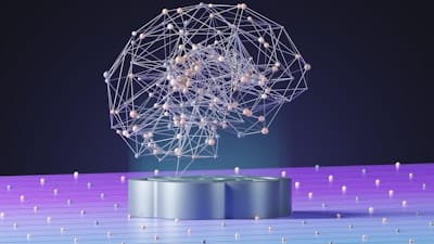 the neural mapping of a brain