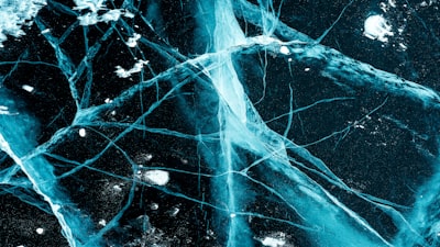 a brain's neural pathways