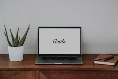 laptop with goals on the screen