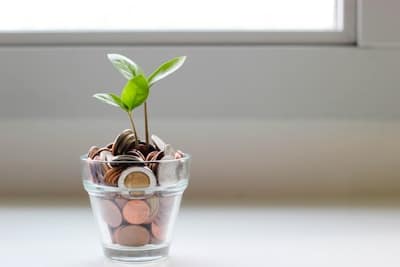 plant growing out of a jar full of coins