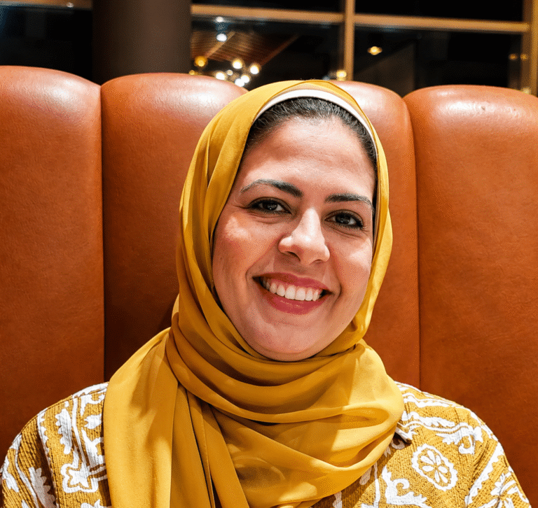 Alaa K. Ismail